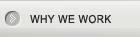 Why We Work